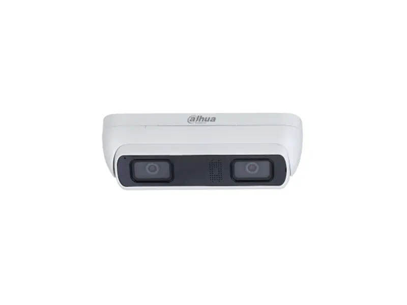 Dual-Lens Series (4MP WizMind Dual-Lens Network Camera)